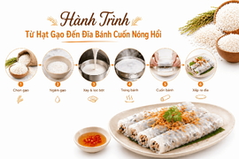 Hành Trình Từ Hạt Gạo Đến Đĩa Bánh Cuốn Nóng Hổi – Tinh Hoa Ẩm Thực Việt