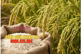 Vì sao bánh cuốn Thanh Trì chỉ ngon khi được làm từ gạo tẻ cũ?