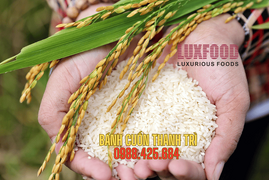 Bánh cuốn Thanh Trì Hương gạo quê làm nên vị nhớ