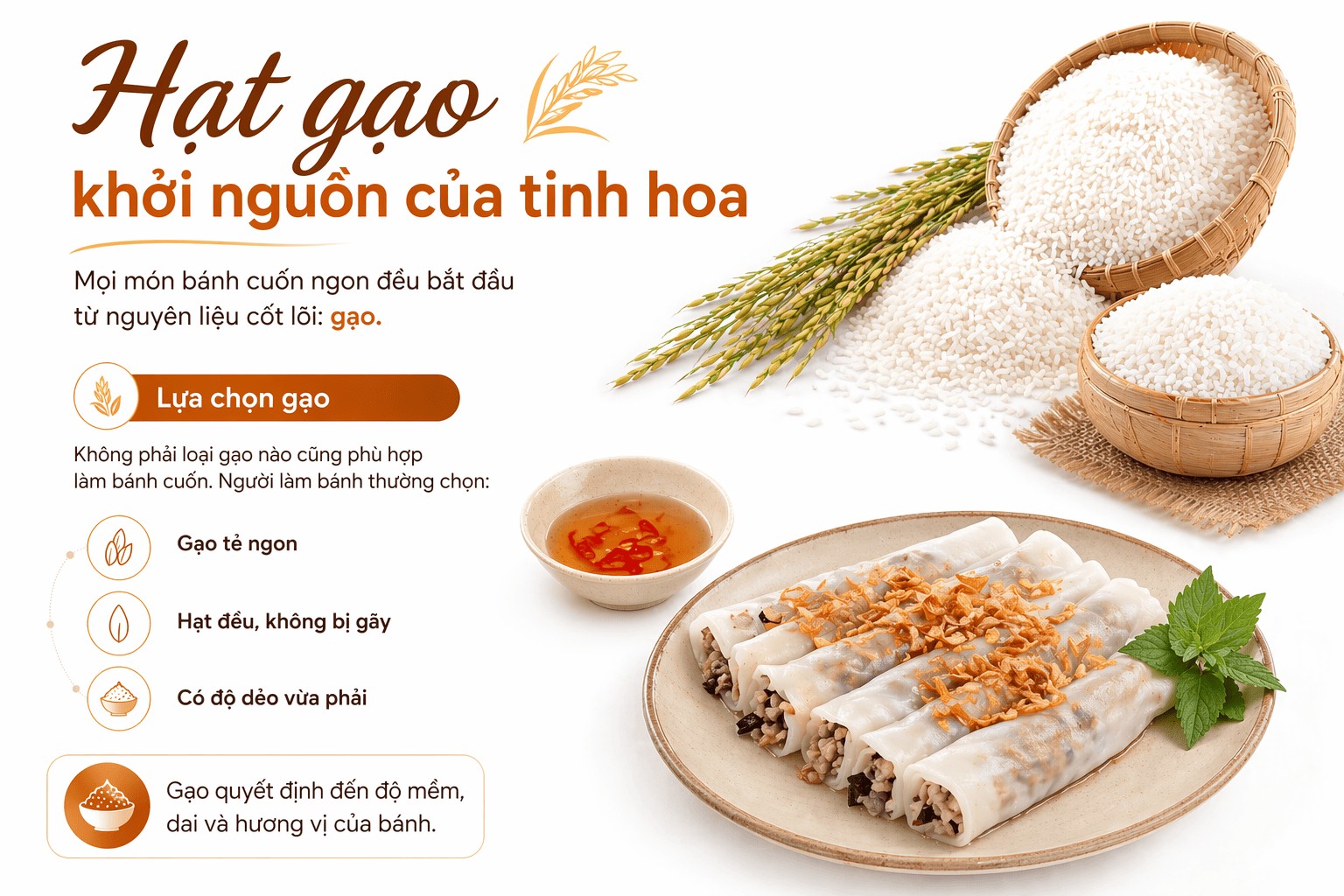  Hạt gạo – khởi nguồn của tinh hoa